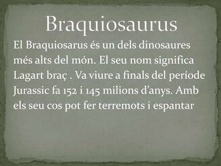 El Braquiosarus és un dels dinosaures
més alts del món. El seu nom significa
Lagart braç . Va viure a finals del període
Jurassic fa 152 i 145 milions d’anys. Amb
els seu cos pot fer terremots i espantar
 