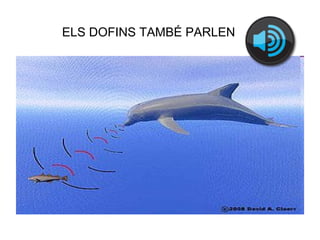 ELS DOFINS TAMBÉ PARLEN        