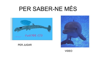 PER SABER-NE MÉS PER JUGAR VIDEO 