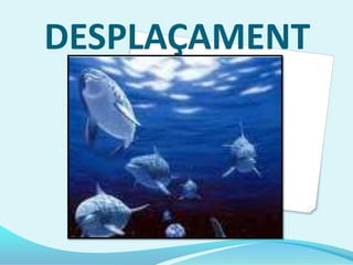 Elsdofinstenencua o aleta caudal. Es plana i horitzontal; la mouen de dalt a baix per desplaçar-se.També tenen una aleta dorsal i dos laterals o pectorals.Les fan servir per controlar la direcció i mantenirl’equilibri al nedar. També les utilitzen per girar sobre un del seuscostats.Una de les qualitatsque millordistingueixalsdofins es la velocitatamb la que neden; algunspoden arribar finsels 45 kilometres per hora, que equival a córrer 700 metres   en un minut.                                                                                                               