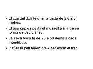 ● El cos del dofí té una llargada de 2 o 2'5
metres.
● El seu cap és petit i el mussell s'allarga en
forma de bec d'ànec.
● La seva boca té de 20 a 50 dents a cada
mandíbula.
● Davall la pell tenen greix per evitar el fred.
 