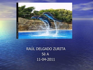 RAÚL DELGADO ZURITA 5è A  11-04-2011 