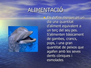 ALIMENTACIÓ Els dofins menjen en un dia una quantitat d’aliment equivalent a un terç del seu pes. S’alimenten bàsicament de gambes, crancs, pops, i una gran quantitat de peixos que agafen amb les seves dents còniques i esmolades . 
