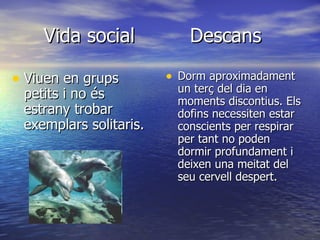 Vida social  Descans Viuen en grups petits i no és estrany trobar exemplars solitaris. Dorm aproximadament  un terç del dia en moments discontius. Els dofins necessiten estar conscients per respirar per tant no poden dormir profundament i deixen una meitat del seu cervell despert. 