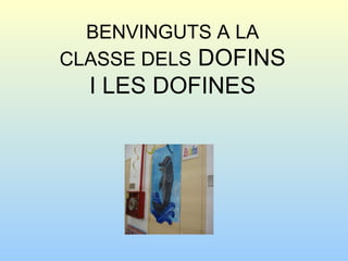 BENVINGUTS A LA CLASSE DELS  DOFINS I LES DOFINES 