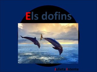 Els dofins

Julieta Intente

 