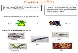 Els dracs | PPTX