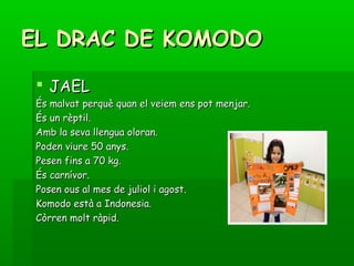 EL DRAC DE KOMODOEL DRAC DE KOMODO
 JAELJAEL
És malvat perquè quan el veiem ens pot menjar.És malvat perquè quan el veiem ens pot menjar.
És un rèptil.És un rèptil.
Amb la seva llengua oloran.Amb la seva llengua oloran.
Poden viure 50 anys.Poden viure 50 anys.
Pesen fins a 70 kg.Pesen fins a 70 kg.
És carnívor.És carnívor.
Posen ous al mes de juliol i agost.Posen ous al mes de juliol i agost.
Komodo està a Indonesia.Komodo està a Indonesia.
Còrren molt ràpid.Còrren molt ràpid.
 