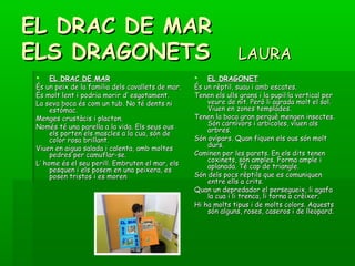EL DRAC DE MAREL DRAC DE MAR
ELS DRAGONETSELS DRAGONETS LAURALAURA
 EL DRAC DE MAREL DRAC DE MAR
És un peix de la familia dels cavallets de mar.És un peix de la familia dels cavallets de mar.
És molt lent i podria morir d’ esgotament.És molt lent i podria morir d’ esgotament.
La seva boca és com un tub. No té dents niLa seva boca és com un tub. No té dents ni
estómac.estómac.
Menges crustàcis i placton.Menges crustàcis i placton.
Només té una parella a la vida. Els seus ousNomés té una parella a la vida. Els seus ous
els porten els mascles a la cua, són deels porten els mascles a la cua, són de
color rosa brillant.color rosa brillant.
Viuen en aigua salada i calenta, amb moltesViuen en aigua salada i calenta, amb moltes
pedres per camuflar-se.pedres per camuflar-se.
L’ home és el seu perill. Embruten el mar, elsL’ home és el seu perill. Embruten el mar, els
pesquen i els posem en una peixera, espesquen i els posem en una peixera, es
posen tristos i es morenposen tristos i es moren
 EL DRAGONETEL DRAGONET
És un rèptil, suau i amb escates.És un rèptil, suau i amb escates.
Tenen els ulls grans i la pupil·la vertical perTenen els ulls grans i la pupil·la vertical per
veure de nit. Però li agrada molt el sol.veure de nit. Però li agrada molt el sol.
Viuen en zones templades.Viuen en zones templades.
Tenen la boca gran perquè mengen insectes.Tenen la boca gran perquè mengen insectes.
Són carnívors i arbícoles, viuen alsSón carnívors i arbícoles, viuen als
arbres.arbres.
Són ovípars. Quan fiquen els ous són moltSón ovípars. Quan fiquen els ous són molt
durs.durs.
Caminen per les parets. En els dits tenenCaminen per les parets. En els dits tenen
coxinets, són amples. Forma ample icoxinets, són amples. Forma ample i
aplanada. Té cap de triangle.aplanada. Té cap de triangle.
Són dels pocs rèptils que es comuniquenSón dels pocs rèptils que es comuniquen
entre ells a crits.entre ells a crits.
Quan un depredador el persegueix, li agafaQuan un depredador el persegueix, li agafa
la cua i li trenca, li torna a crèixer.la cua i li trenca, li torna a crèixer.
Hi ha molts tipus i de molts colors. AquestsHi ha molts tipus i de molts colors. Aquests
són alguns, roses, caseros i de lleopard.són alguns, roses, caseros i de lleopard.
 