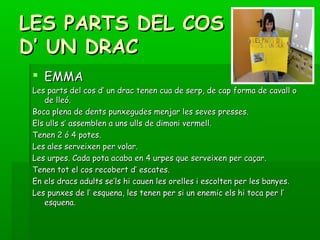 LES PARTS DEL COSLES PARTS DEL COS
D’ UN DRACD’ UN DRAC
 EMMAEMMA
Les parts del cos d’ un drac tenen cua de serp, de cap forma de cavall oLes parts del cos d’ un drac tenen cua de serp, de cap forma de cavall o
de lleó.de lleó.
Boca plena de dents punxegudes menjar les seves presses.Boca plena de dents punxegudes menjar les seves presses.
Els ulls s’ assemblen a uns ulls de dimoni vermell.Els ulls s’ assemblen a uns ulls de dimoni vermell.
Tenen 2 ó 4 potes.Tenen 2 ó 4 potes.
Les ales serveixen per volar.Les ales serveixen per volar.
Les urpes. Cada pota acaba en 4 urpes que serveixen per caçar.Les urpes. Cada pota acaba en 4 urpes que serveixen per caçar.
Tenen tot el cos recobert d’ escates.Tenen tot el cos recobert d’ escates.
En els dracs adults se’ls hi cauen les orelles i escolten per les banyes.En els dracs adults se’ls hi cauen les orelles i escolten per les banyes.
Les punxes de l’ esquena, les tenen per si un enemic els hi toca per l’Les punxes de l’ esquena, les tenen per si un enemic els hi toca per l’
esquena.esquena.
 