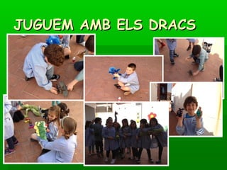 JUGUEM AMB ELS DRACSJUGUEM AMB ELS DRACS
 