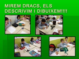 MIREM DRACS, ELSMIREM DRACS, ELS
DESCRIVIM I DIBUIXEM!!!!DESCRIVIM I DIBUIXEM!!!!
 