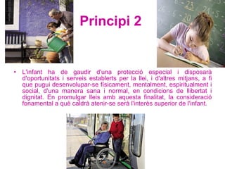 Principi 2   L'infant ha de gaudir d'una protecció especial i disposarà d'oportunitats i serveis establerts per la llei, i d'altres mitjans, a fi que pugui desenvolupar-se físicament, mentalment, espiritualment i social, d'una manera sana i normal, en condicions de llibertat i dignitat. En promulgar lleis amb aquesta finalitat, la consideració fonamental a què caldrà atenir-se serà l'interès superior de l'infant.  