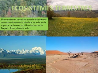 Els ecosistemes terrestres son els esosistemes
que estan situats en la biosfera, es a dir, en la
supercie de la terra on hi ha vida terrestre.
Exeples: Boscs, deserts, valls…
 