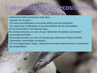 L’alimentació dels ecosistemes molt tipus.
Aquests son els tipus:
-Els essers que fabriquen el seu propi aliment son els productors.
-Els essers que no fabriquen el seu prop aliment són els consumidors.
En els consumidors hi ha diversos tipus:
Els animals hervivors, es a dir, els que s’alimenten de plantes s’anomenen
consumidors primaris.
Els animals carnívors, es a dir, els animals que s’alimenten d’altres animals
s’anomenen consumidors secundaris.
-Els microorganismes i fongs, s’alimenten de restes d’altres animals i s’anomenen
descomponedors.
 