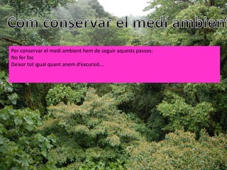 Per conservar el medi ambient hem de seguir aquests passos:
No fer foc
Deixar tot igual quant anem d’excursió...
 