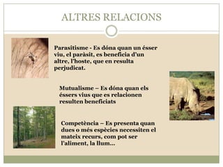 ALTRES RELACIONS
Parasitisme - Es dóna quan un ésser
viu, el paràsit, es beneficia d’un
altre, l’hoste, que en resulta
perjudicat.

Mutualisme – Es dóna quan els
éssers vius que es relacionen
resulten beneficiats

Competència – Es presenta quan
dues o més espècies necessiten el
mateix recurs, com pot ser
l’aliment, la llum…

 