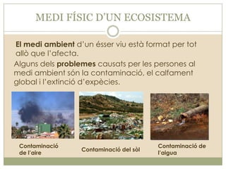 MEDI FÍSIC D’UN ECOSISTEMA
El medi ambient d’un ésser viu està format per tot
allò que l’afecta.
Alguns dels problemes causats per les persones al
medi ambient són la contaminació, el calfament
global i l’extinció d’expècies.

Contaminació
de l’aire

Contaminació del sòl

Contaminació de
l’aigua

 