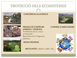 PROTECCIÓ DELS ECOSISTEMES
CONCIÈNCIA ECOLÒGICA

PROTECCIÓ D’ESPÈCIES
ANIMALS I VEGETALS
Prohibició de la caça
d’animals i
Recol·lecció d’algunes
plantes.

CONTROL D’ABOCADORS

ESPAIS PROTEGIS.
RECICLATGE: plàstics, piles, olis ...

 