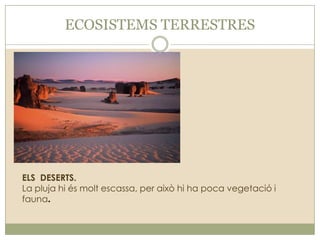 ECOSISTEMS TERRESTRES

ELS DESERTS.
La pluja hi és molt escassa, per això hi ha poca vegetació i
fauna.

 