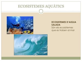 ECOSISTEMES AQUÀTICS

ECOSISTEMES D’AIGUA
SALADA
Són els ecosistemes
que es troben al mar

 