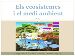 Els ecosistemes
i el medi ambient

4t de primaria. CEIP Carles Salvador.

Barxeta 2013-14

 