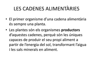 LES CADENES ALIMENTÀRIES
• El primer organisme d’una cadena alimentària
és sempre una planta.
• Les plantes són els organismes productors
d’aquestes cadenes, perquè són les úniques
capaces de produir el seu propi aliment a
partir de l’energia del sol, transformant l’aigua
i les sals minerals en aliment.
 