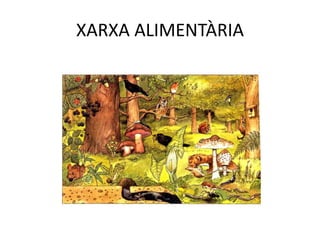 XARXA ALIMENTÀRIA
 