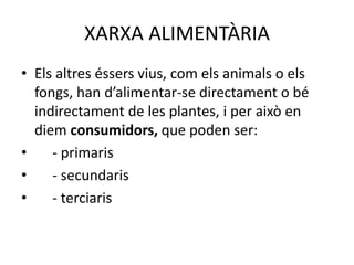 XARXA ALIMENTÀRIA
• Els altres éssers vius, com els animals o els
fongs, han d’alimentar-se directament o bé
indirectament de les plantes, i per això en
diem consumidors, que poden ser:
• - primaris
• - secundaris
• - terciaris
 