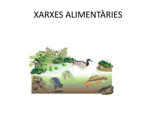 XARXES ALIMENTÀRIES
 