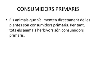 CONSUMIDORS PRIMARIS
• Els animals que s’alimenten directament de les
plantes són consumidors primaris. Per tant,
tots els animals herbívors són consumidors
primaris.
 