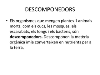 DESCOMPONEDORS
• Els organismes que mengen plantes i animals
morts, com els cucs, les mosques, els
escarabats, els fongs i els bacteris, són
descomponedors. Descomponen la matèria
orgànica imla converteixen en nutrients per a
la terra.
 