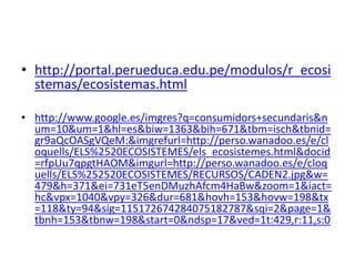 • http://portal.perueduca.edu.pe/modulos/r_ecosi
stemas/ecosistemas.html
• http://www.google.es/imgres?q=consumidors+secundaris&n
um=10&um=1&hl=es&biw=1363&bih=671&tbm=isch&tbnid=
gr9aQcOASgVQeM:&imgrefurl=http://perso.wanadoo.es/e/cl
oquells/ELS%2520ECOSISTEMES/els_ecosistemes.html&docid
=rfpUu7qpgtHAOM&imgurl=http://perso.wanadoo.es/e/cloq
uells/ELS%252520ECOSISTEMES/RECURSOS/CADEN2.jpg&w=
479&h=371&ei=731eT5enDMuzhAfcm4HaBw&zoom=1&iact=
hc&vpx=1040&vpy=326&dur=681&hovh=153&hovw=198&tx
=118&ty=94&sig=115172674284075182787&sqi=2&page=1&
tbnh=153&tbnw=198&start=0&ndsp=17&ved=1t:429,r:11,s:0
 