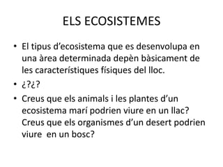 ELS ECOSISTEMES
• El tipus d’ecosistema que es desenvolupa en
una àrea determinada depèn bàsicament de
les característiques físiques del lloc.
• ¿?¿?
• Creus que els animals i les plantes d’un
ecosistema marí podrien viure en un llac?
Creus que els organismes d’un desert podrien
viure en un bosc?
 