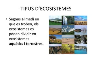 TIPUS D’ECOSISTEMES
• Segons el medi en
que es troben, els
ecosistemes es
poden dividir en
ecosistemes
aquàtics i terrestres.
 
