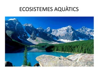 ECOSISTEMES AQUÀTICS
 