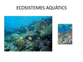 ECOSISTEMES AQUÀTICS
 