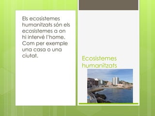 Els ecosistemes
humanitzats són els
ecosistemes a on
hi intervé l’home.
Com per exemple
una casa o una
ciutat.
Ecosistemes
humanitzats
 