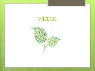 VÍDEOS
 