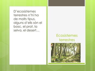 D’ecosistemes
terrestres n’hi ha
de molts tipus,
alguns d’ells són el
bosc, el prat, la
selva, el desert…
Ecosistemes
terrestres
 