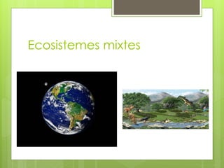 Ecosistemes mixtes
 