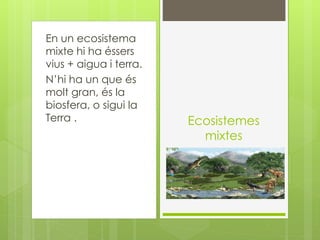 En un ecosistema
mixte hi ha éssers
vius + aigua i terra.
N’hi ha un que és
molt gran, és la
biosfera, o sigui la
Terra . Ecosistemes
mixtes
 