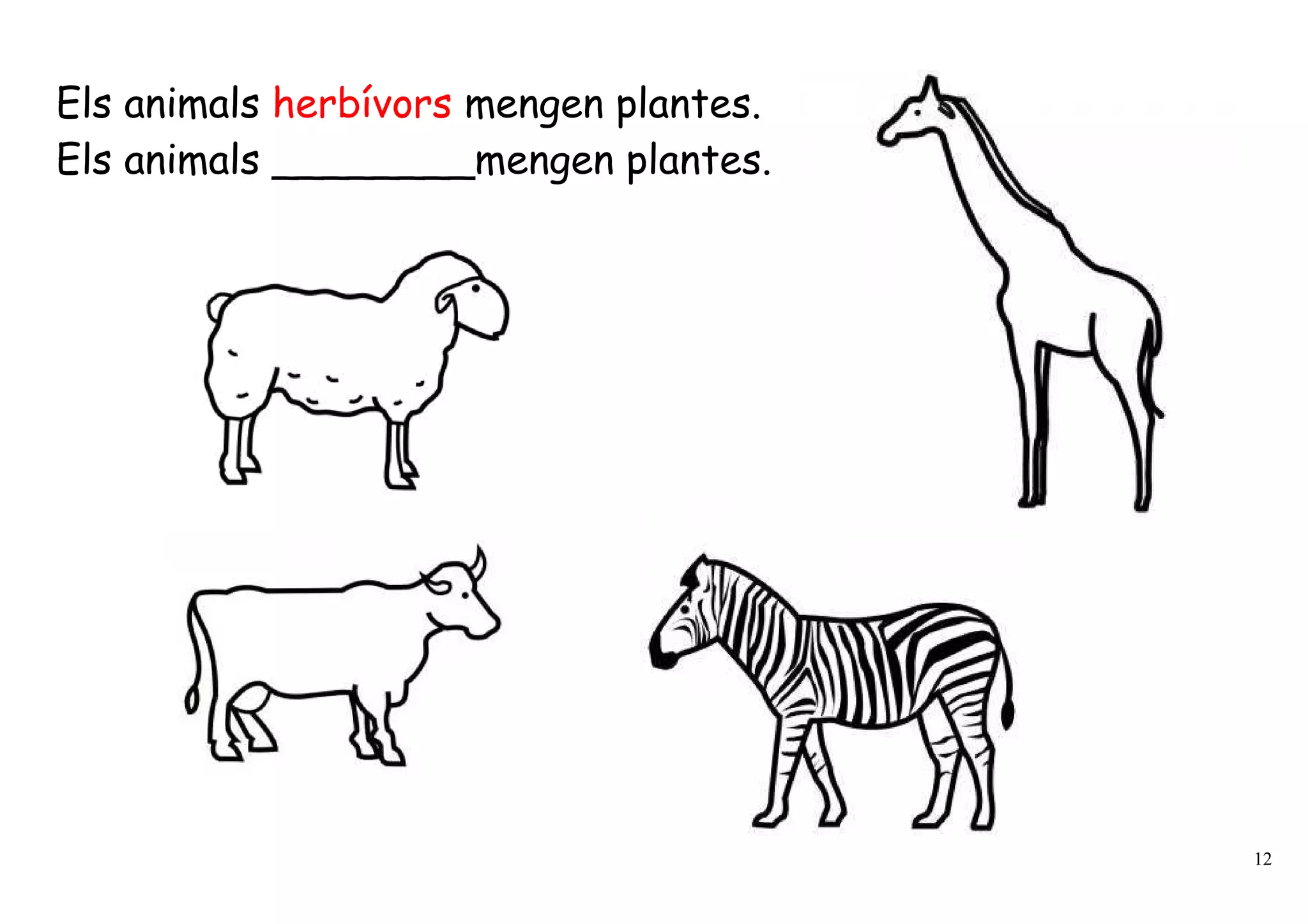 Els animals herbívors mengen plantes.
Els animals ________mengen plantes.




                                        12
 