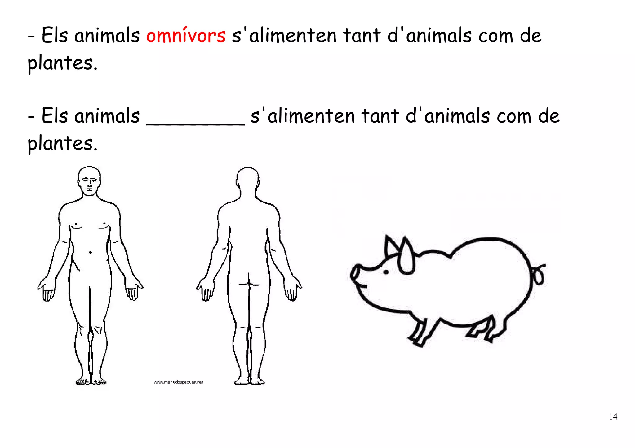 - Els animals omnívors s'alimenten tant d'animals com de
plantes.

- Els animals ________ s'alimenten tant d'animals com de
plantes.




                                                           14
 