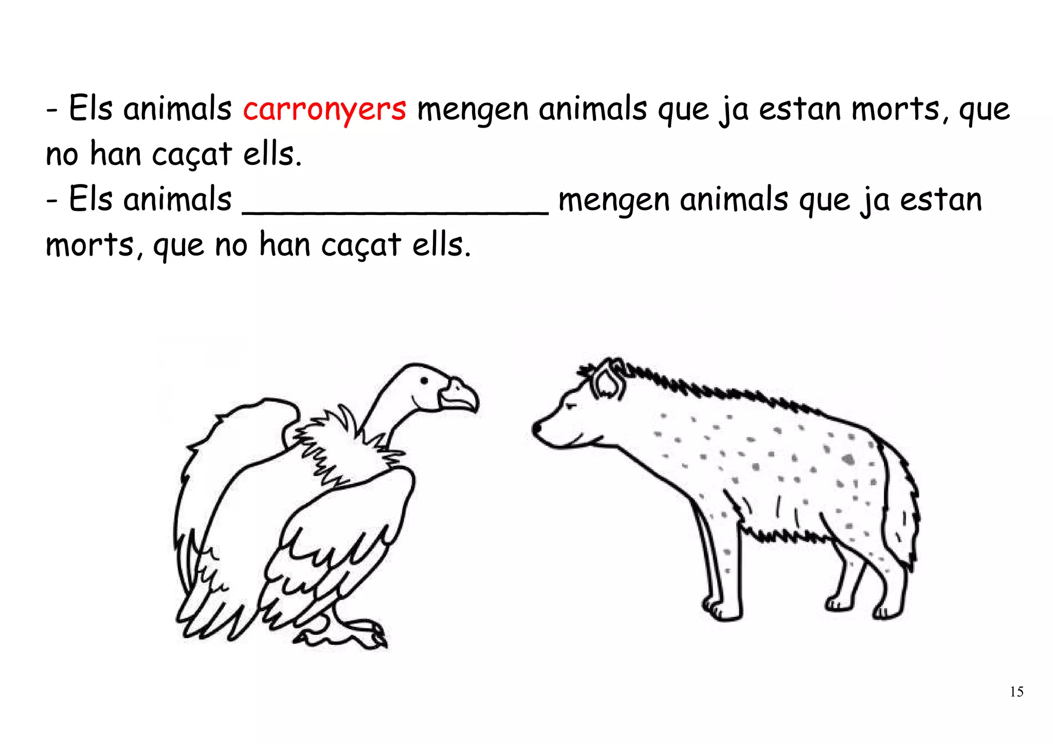 - Els animals carronyers mengen animals que ja estan morts, que
no han caçat ells.
- Els animals _______________ mengen animals que ja estan
morts, que no han caçat ells.




                                                              15
 