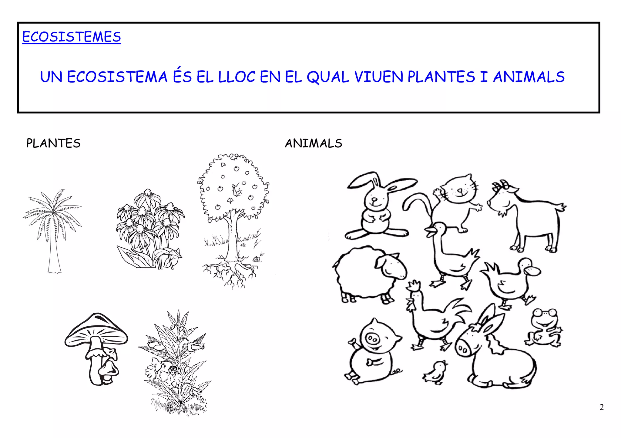 ECOSISTEMES


 UN ECOSISTEMA ÉS EL LLOC EN EL QUAL VIUEN PLANTES I ANIMALS



PLANTES                     ANIMALS




                                                               2
 