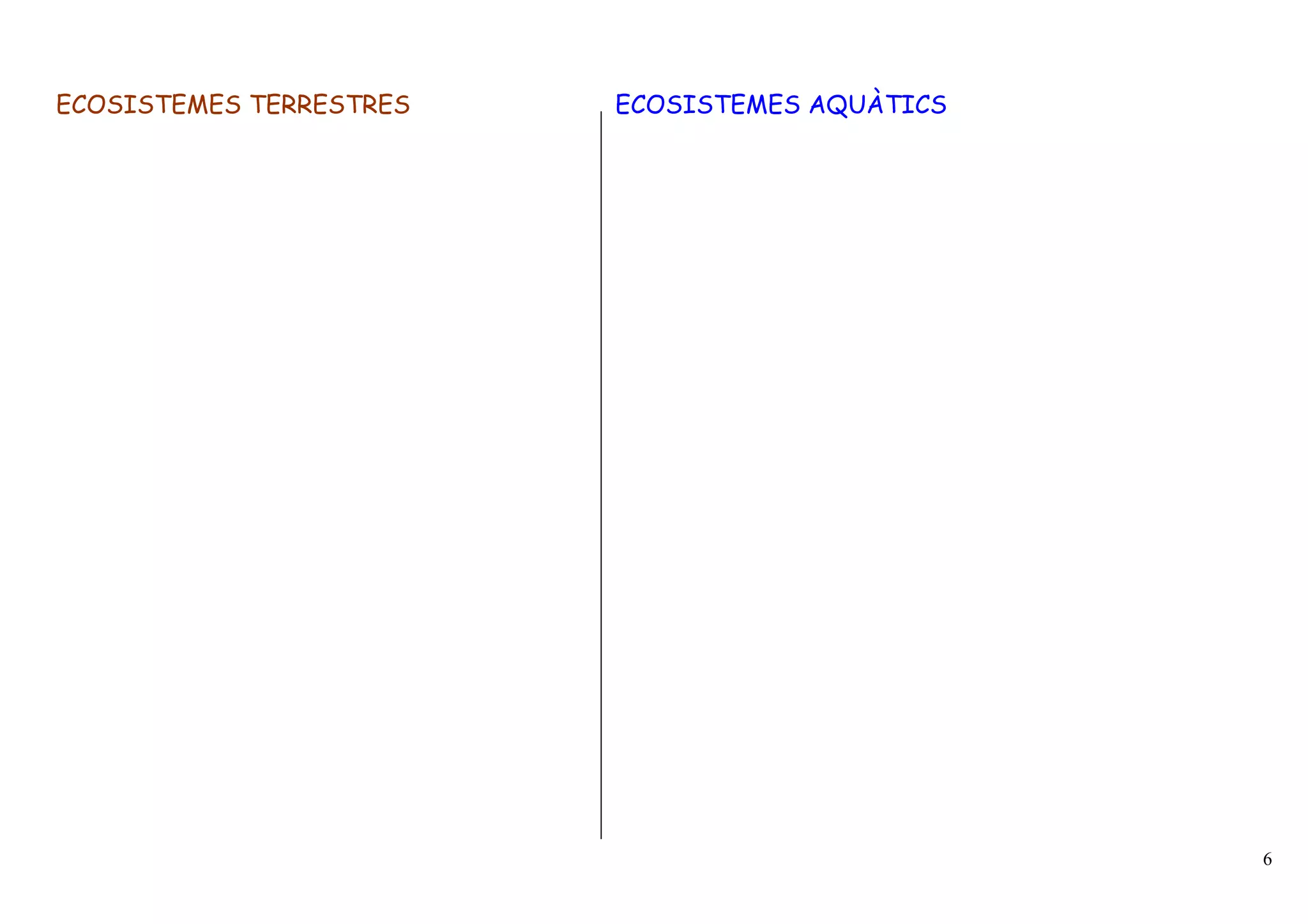 ECOSISTEMES TERRESTRES   ECOSISTEMES AQUÀTICS




                                                6
 