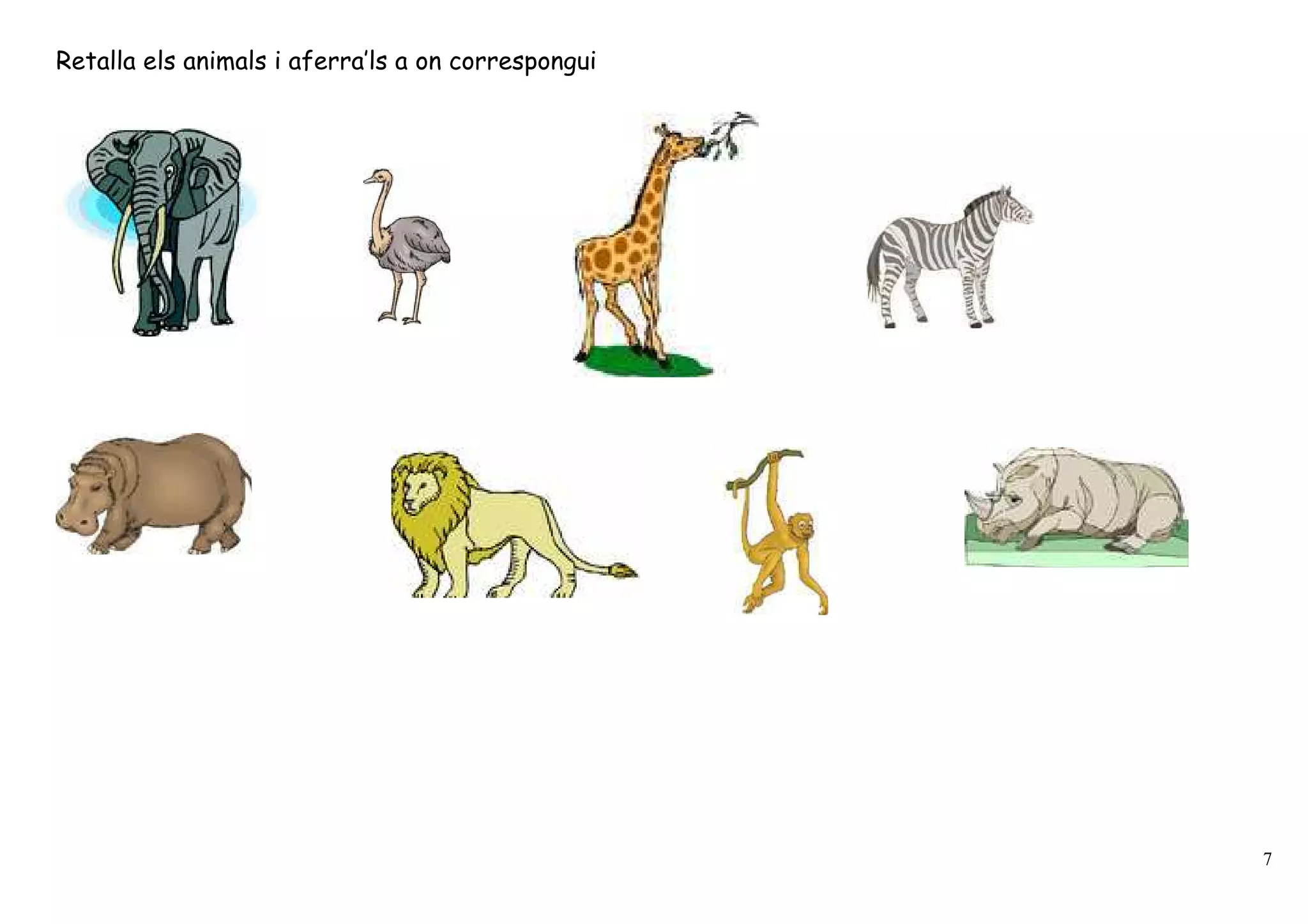 Retalla els animals i aferra’ls a on correspongui




                                                    7
 