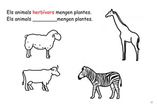 Els animals herbívors mengen plantes.
Els animals ________mengen plantes.




                                        12
 