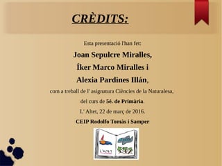 CRÈDITS:
Esta presentació l'han fet:
Joan Sepulcre Miralles,
Íker Marco Miralles i
Alexia Pardines Illán,
com a treball de l' asignatura Ciències de la Naturalesa,
del curs de 5é. de Primària.
L' Altet, 22 de març de 2016.
CEIP Rodolfo Tomàs i Samper
 